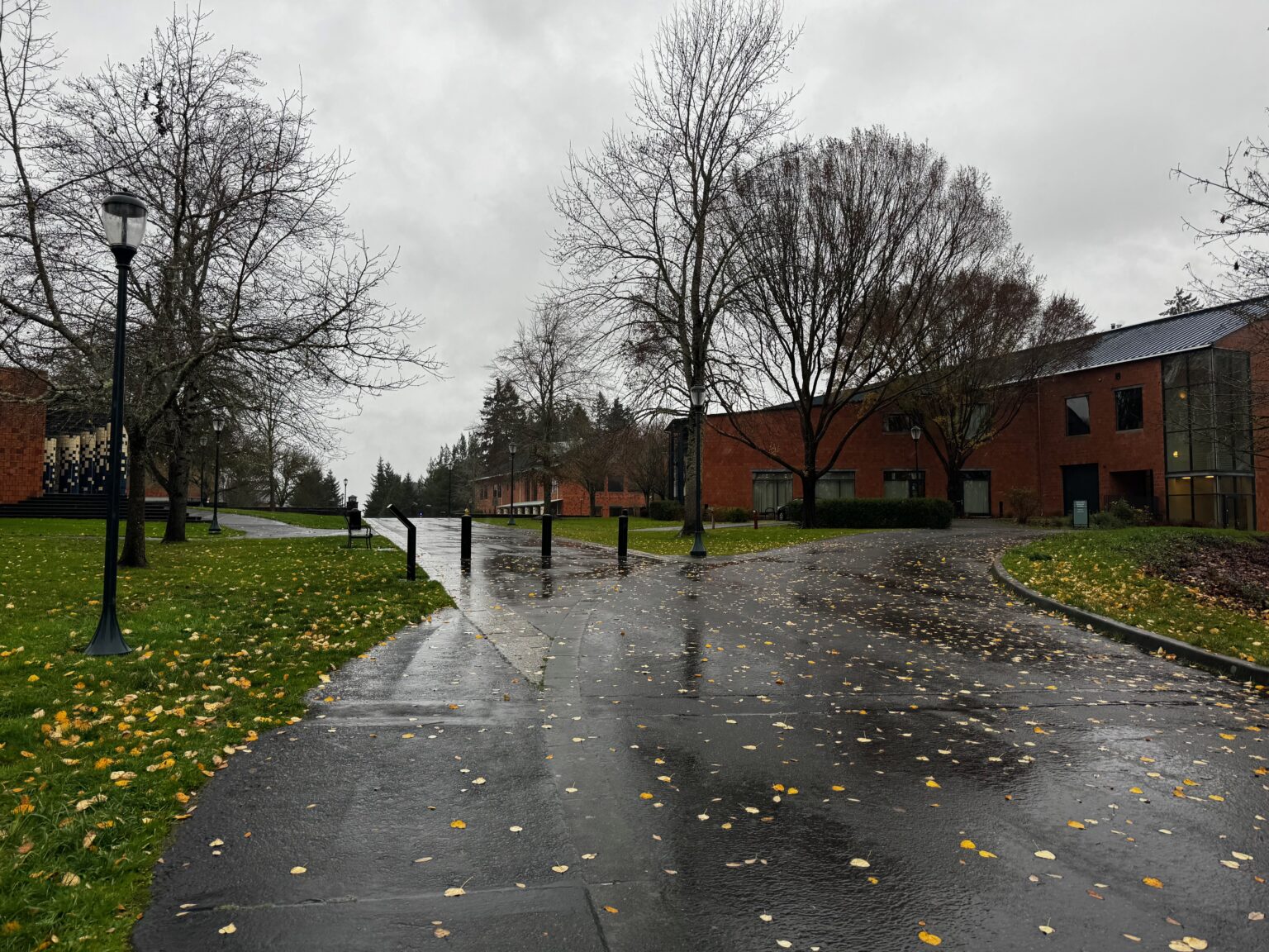 A photo of campus grounds at WSU Vancouver